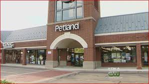 Petland Application Online & PDF