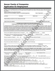 Stripes Application Form PDF