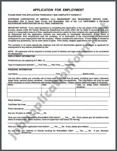 BrandsMart USA Application Form PDF