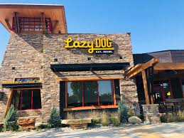 Lazy Dog Restaurant and Bar Application Online