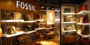 Fossil Application Online & PDF